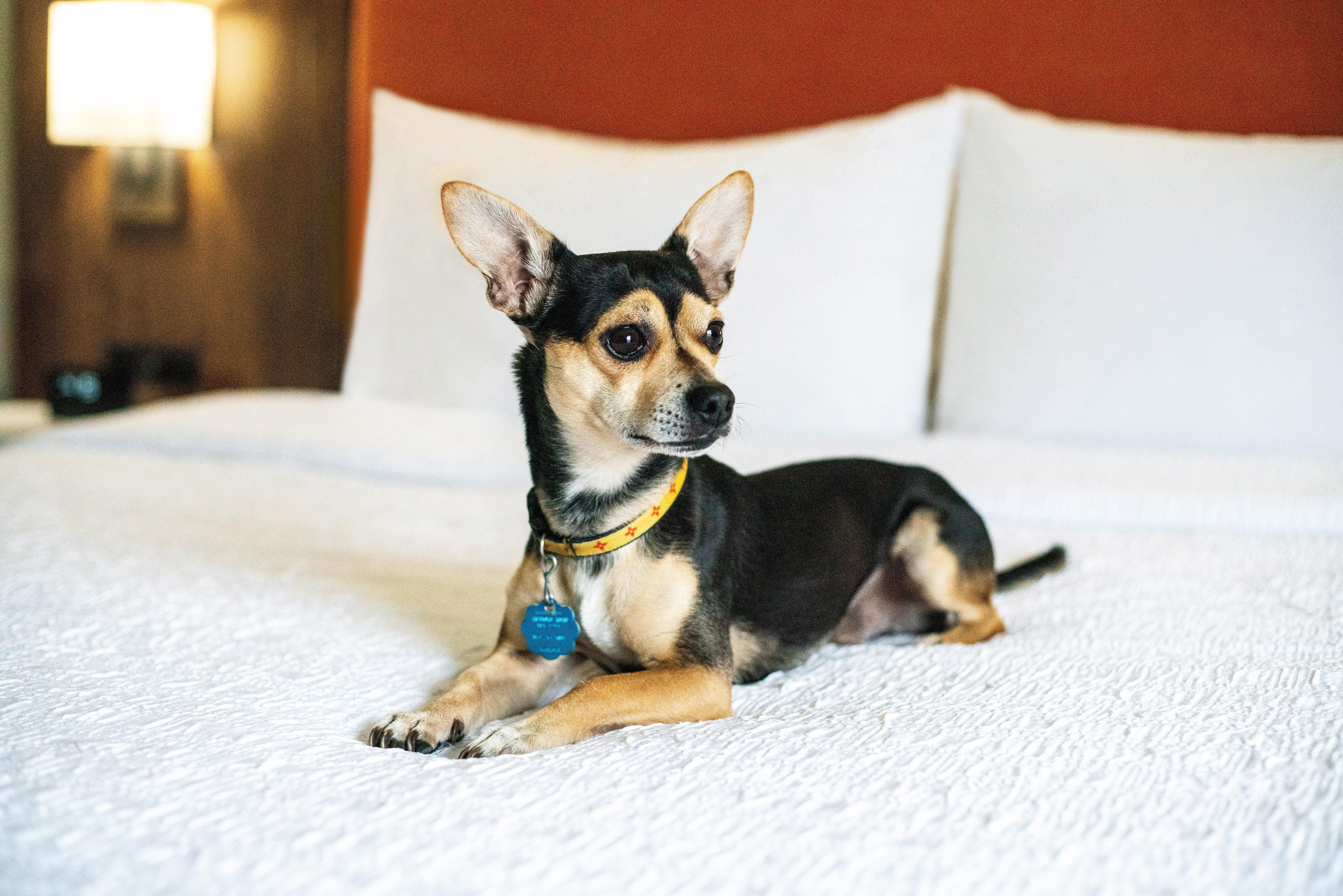 Hampton Inn Lexington South Eksteriør bilde